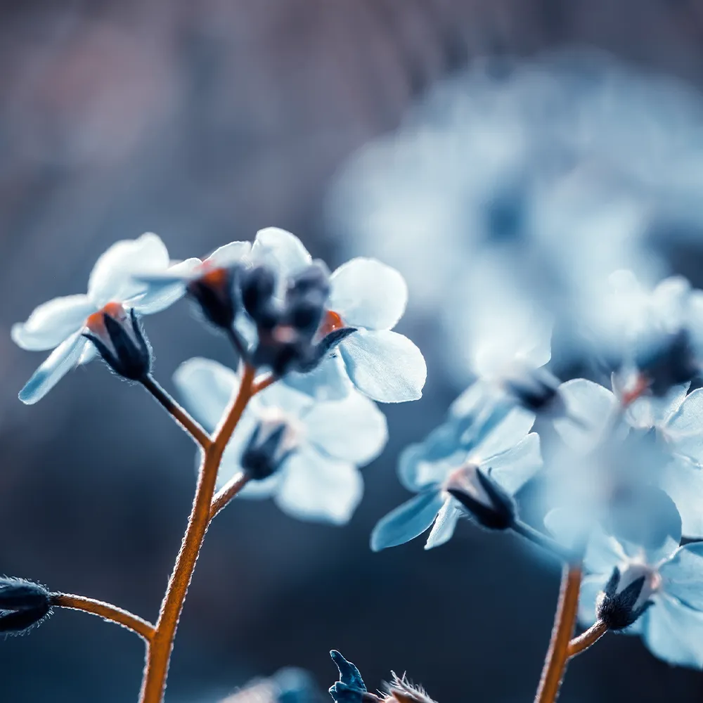 PROredovisning stockholm