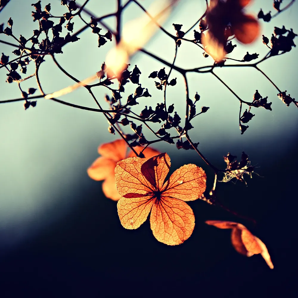 redovisningsbyra for foretag i stockholm