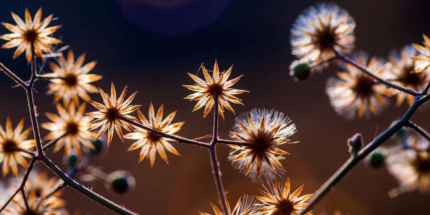 redovisningsbyra i stockholm