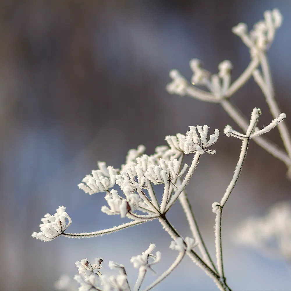 stockholm årsredovisning
