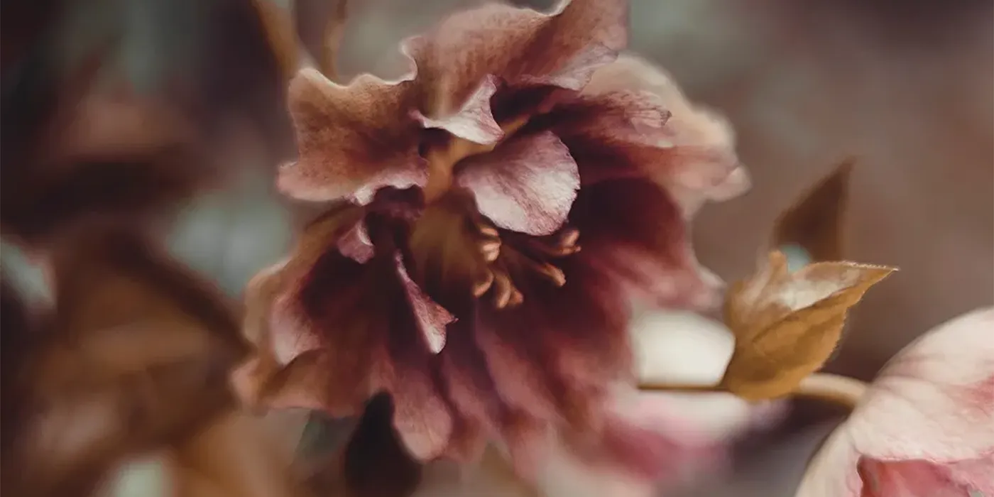 stockholm bokföring rådgivning