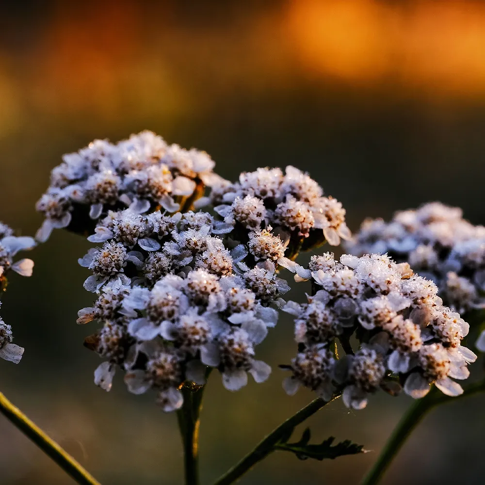 stockholm redovisning